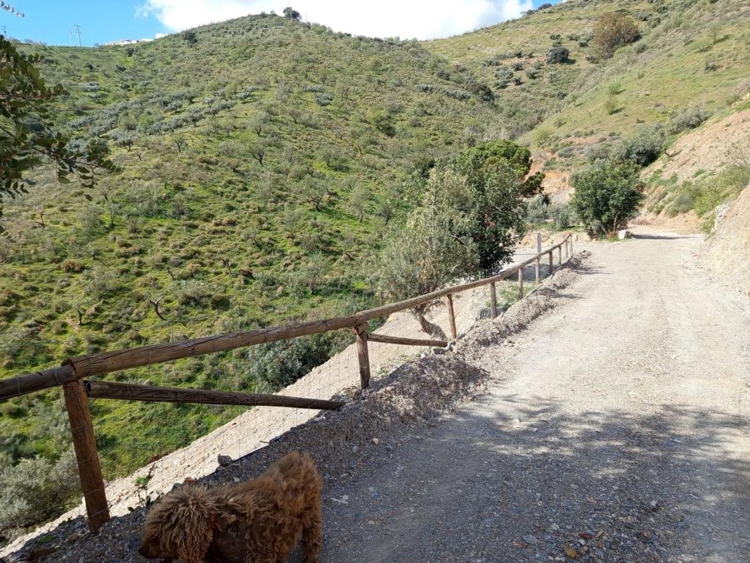 Terreno en venta en Colmenar, Malaga photo 5