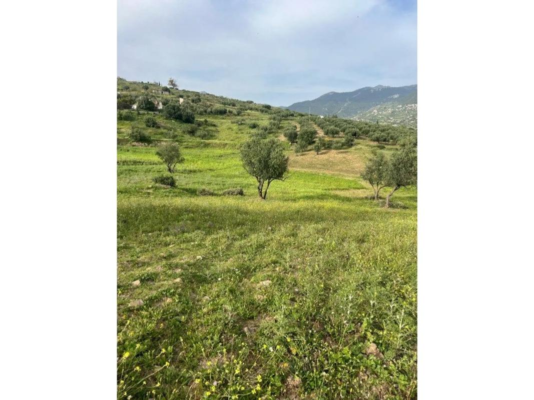 Działka na sprzedaż w Alcaucín, Malaga photo 1