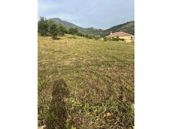 Terreno en Alcaucín photo 3