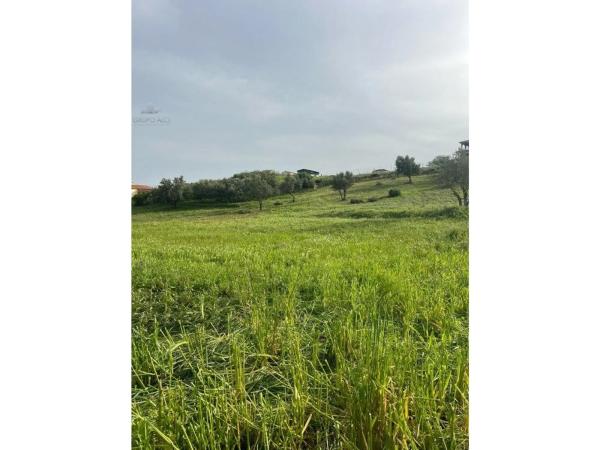 Terreno en Alcaucín photo 4