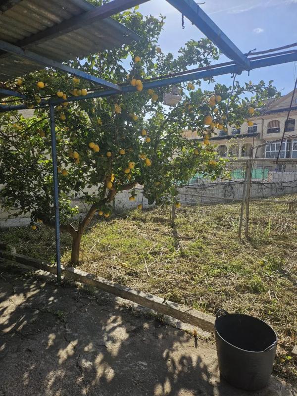Terreno en venta en Fuengirola, Malaga photo 4