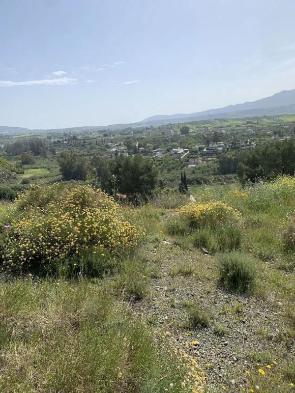 Terreno en venta en Alhaurín el Grande, Malaga photo 2