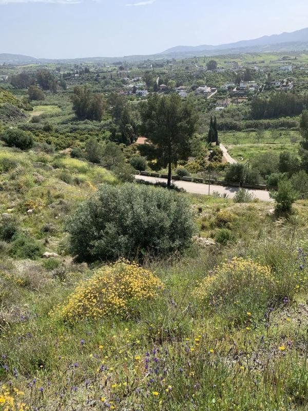 Terreno en venta en Alhaurín el Grande, Malaga photo 3