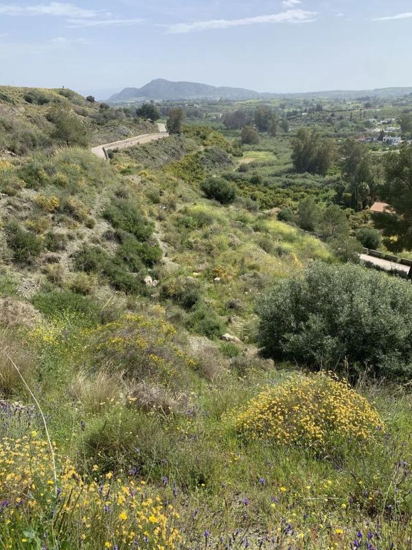 Terreno en venta en Alhaurín el Grande, Malaga photo 4