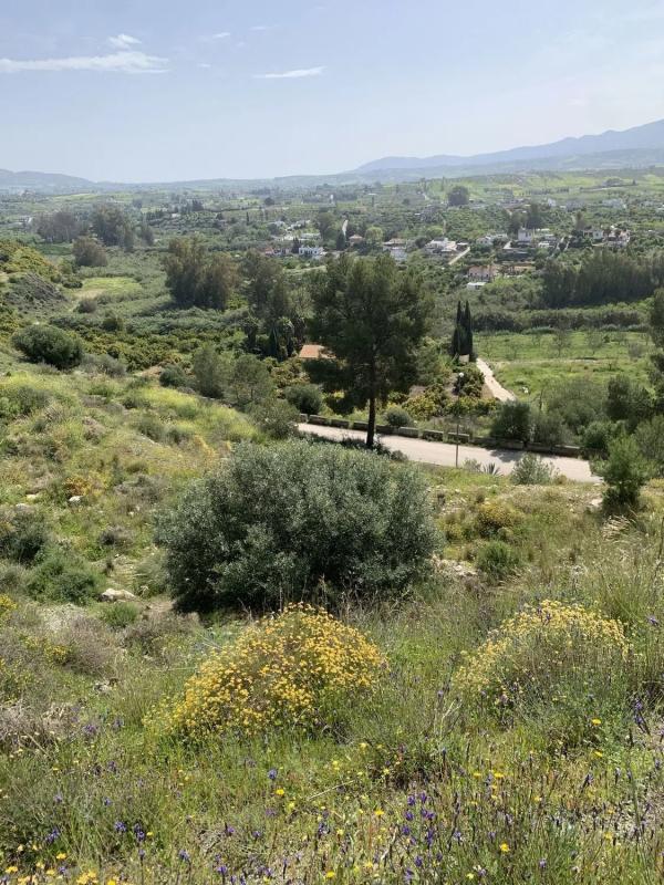 Terreno en venta en Alhaurín el Grande, Malaga photo 5