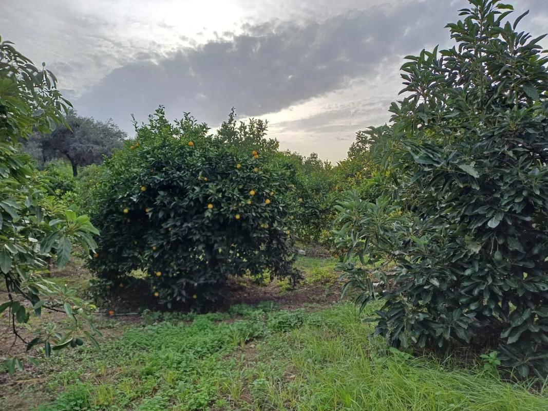 Działka na sprzedaż w Moneta, Malaga photo 2