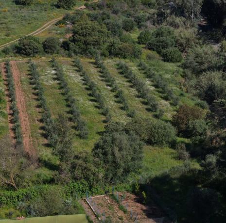Terreno en Coin photo 4