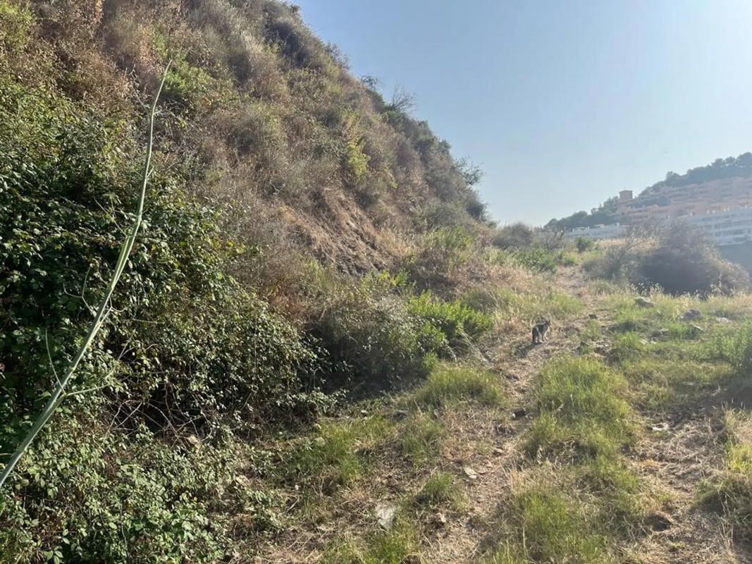 Terreno en venta en Mijas, Malaga photo 1