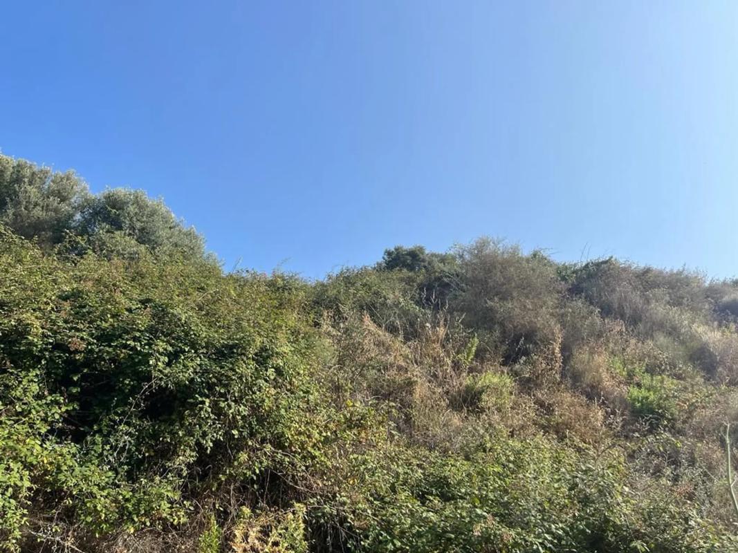 Terreno en venta en Mijas, Malaga photo 3