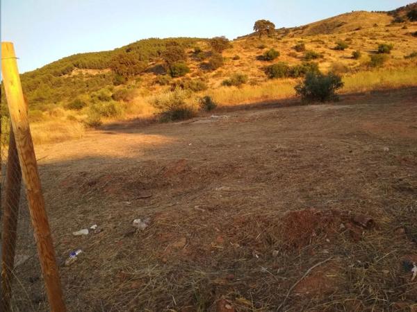 Terreno en Zona de la Vega photo 1