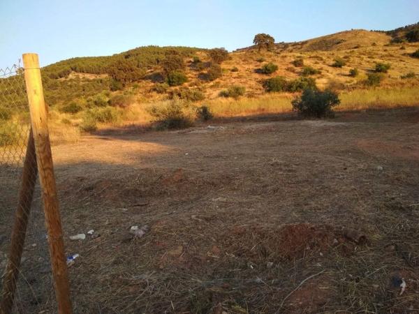 Terreno en Zona de la Vega photo 2