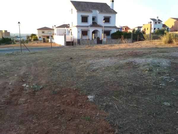 Terreno en Zona de la Vega photo 4