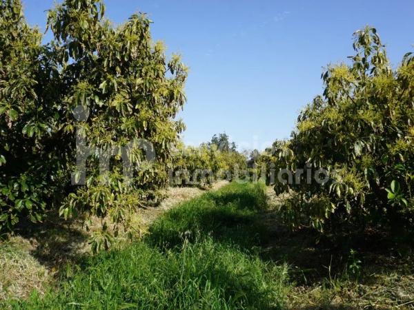 Terreno en Norte - Barrio del Pilar - El Reñidero photo 1