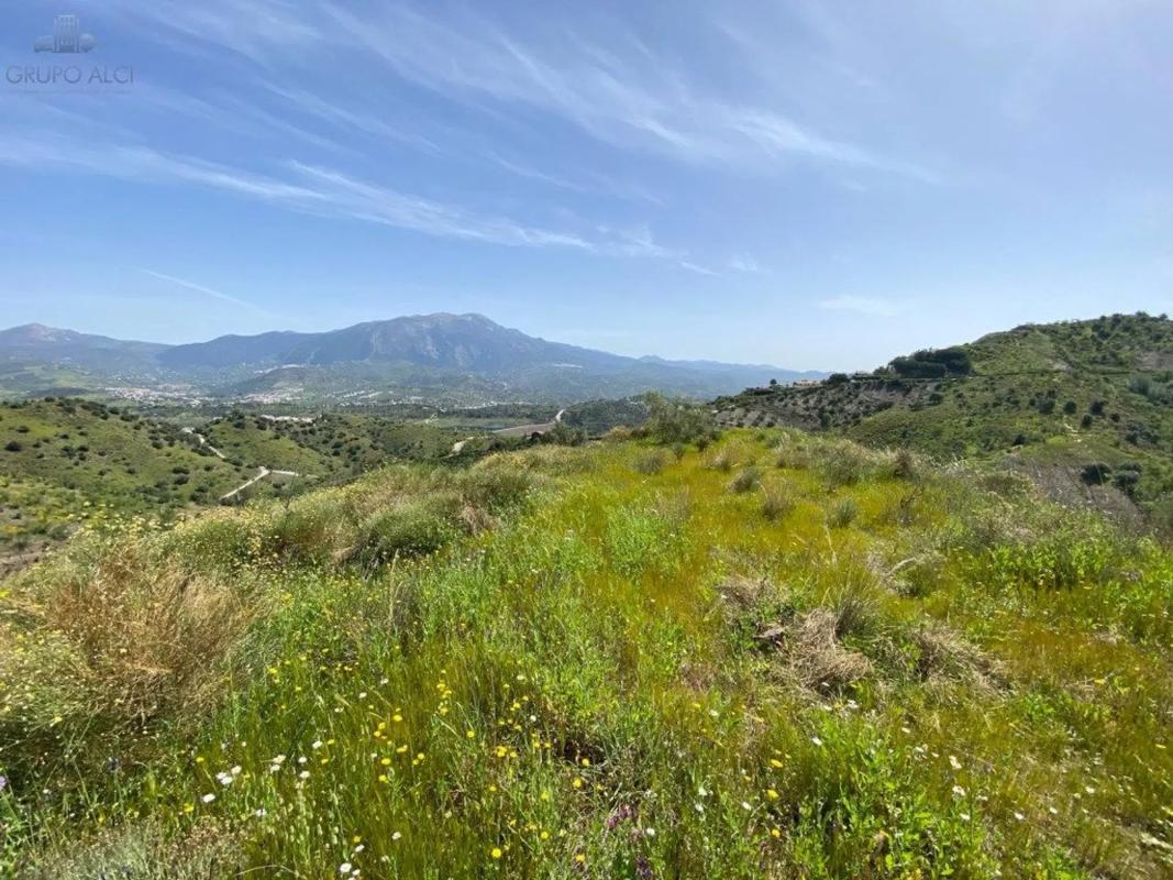 Terreno en venta en Viñuela, Malaga photo 4