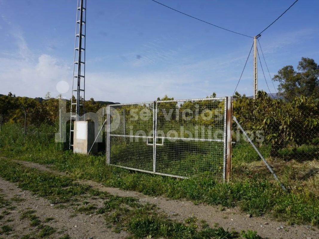 Terreno en venta en Vélez-Malaga, Malaga photo 2