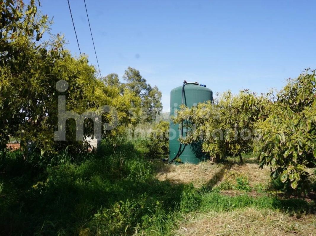 Terreno en venta en Vélez-Malaga, Malaga photo 4