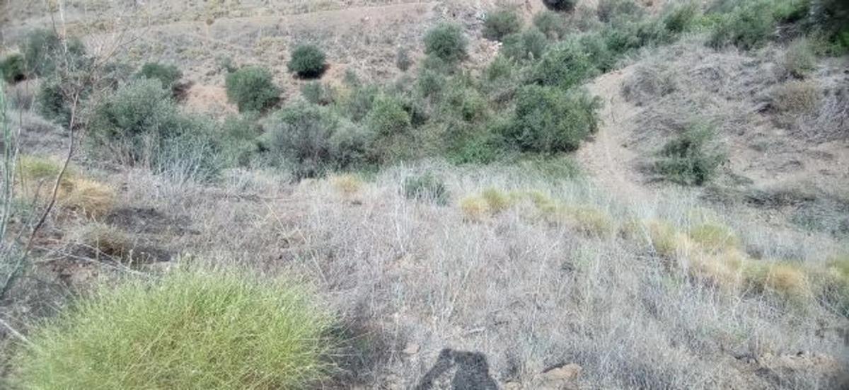 Land for sale in Torrox, Malaga photo 2