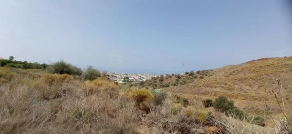 Terreno en El Morche photo 3