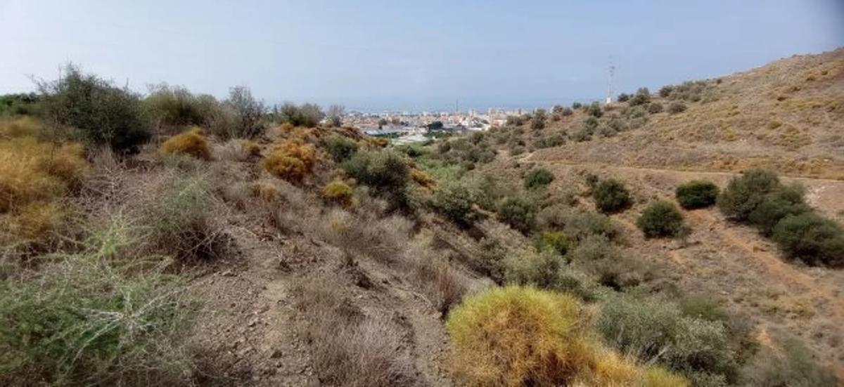 Land for sale in Torrox, Malaga photo 4