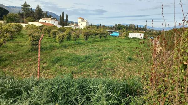 Terreno en calle Tubelorda s/n photo 1