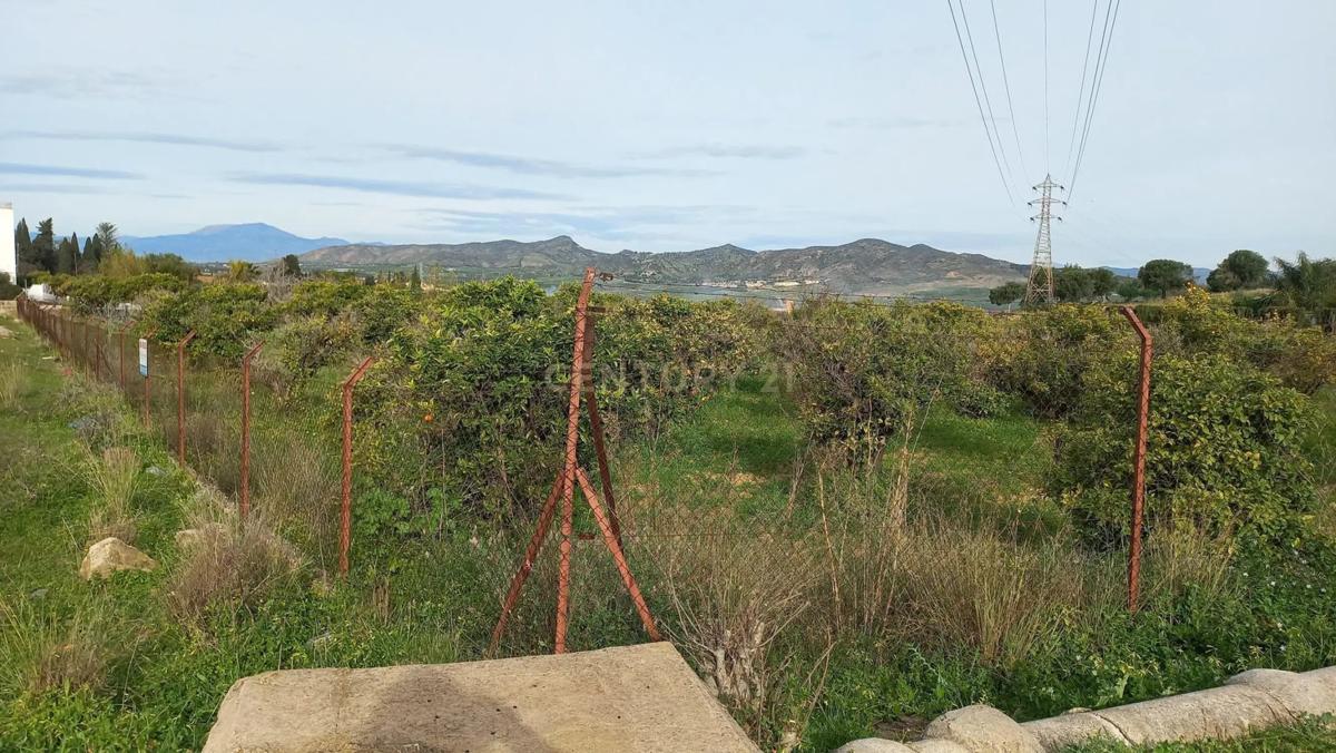 Terreno en venta en Alhaurín de la Torre, Malaga photo 2