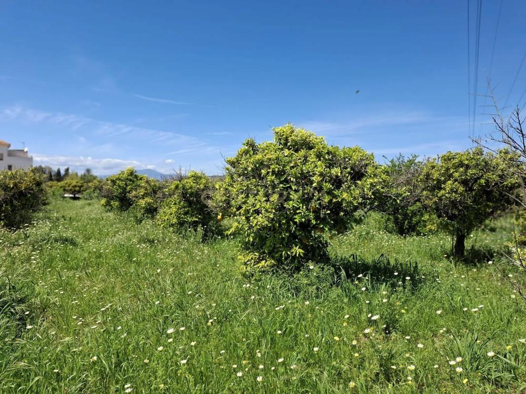 Terreno en venta en Alhaurín de la Torre, Malaga photo 3