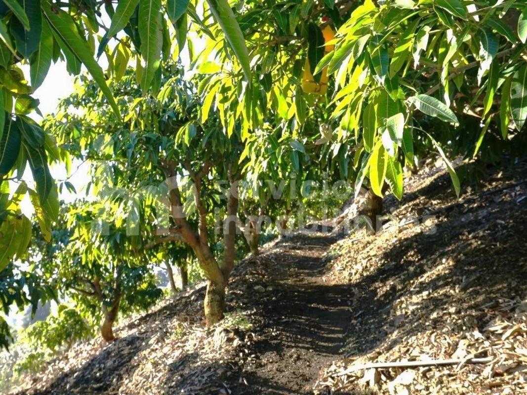 Terreno en venta en Cutar, Malaga photo 2