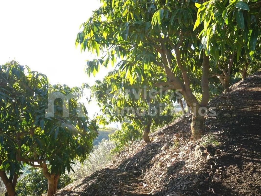 Terreno en venta en Cutar, Malaga photo 5