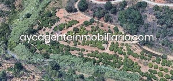 Terreno en Barrio Sierra de Estepona-Avda de Andalucia photo 1