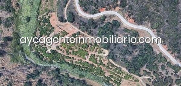 Terreno en Barrio Sierra de Estepona-Avda de Andalucia photo 4