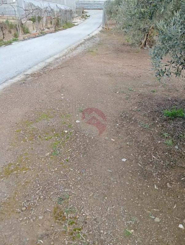 Участок земли на продажу в Коин, Малага photo 3