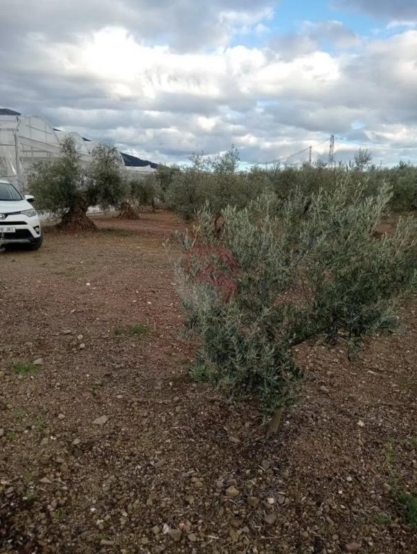 Участок земли на продажу в Коин, Малага photo 5