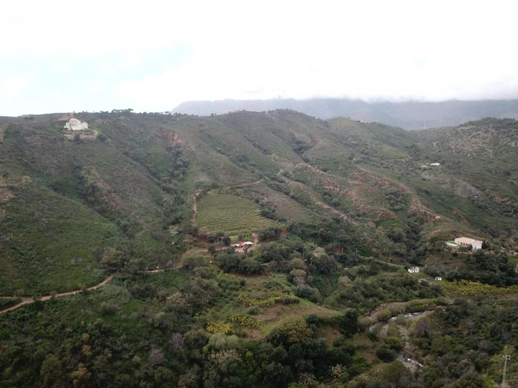 Działka na sprzedaż w Estepona, Malaga photo 1