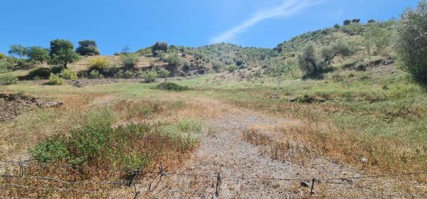 Terreno en Hoy Del Mezto, 3 photo 2