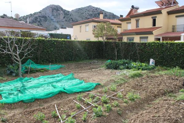 Terreno en calle Andalucía photo 3