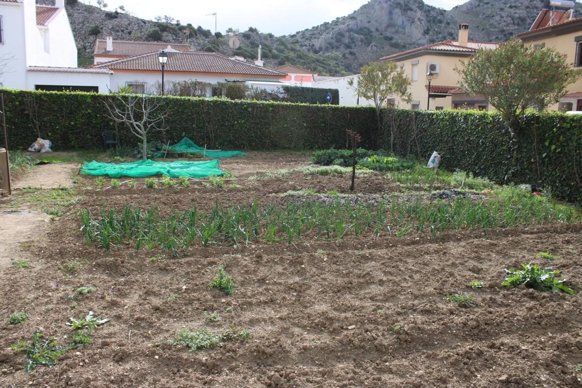 Terreno en venta en Cuevas del Becerro, Malaga photo 4