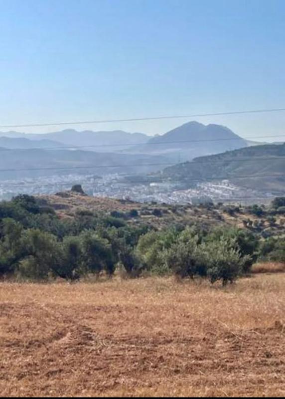 Terreno en venta en Antequera, Malaga photo 2