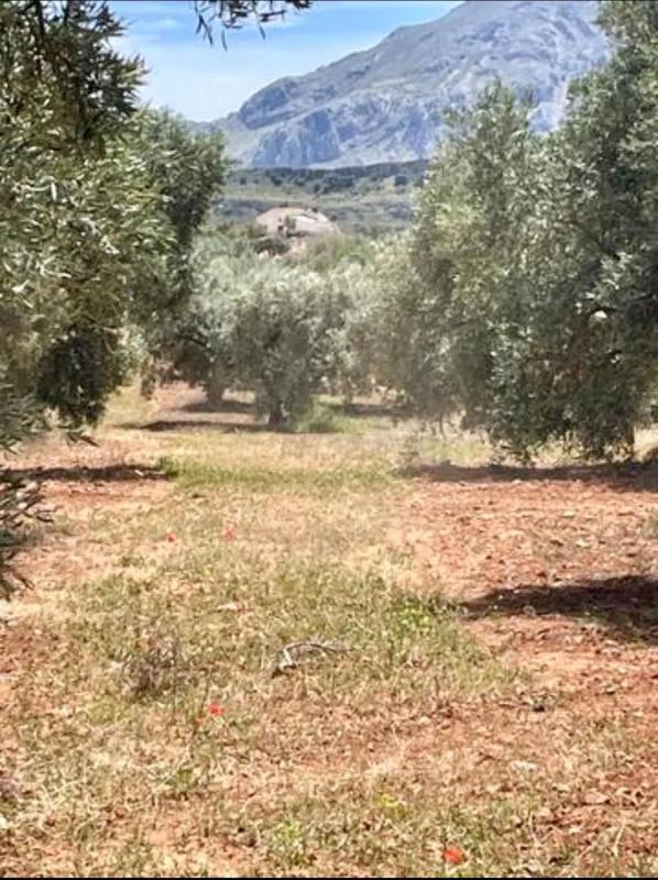 Terreno en venta en Antequera, Malaga photo 3