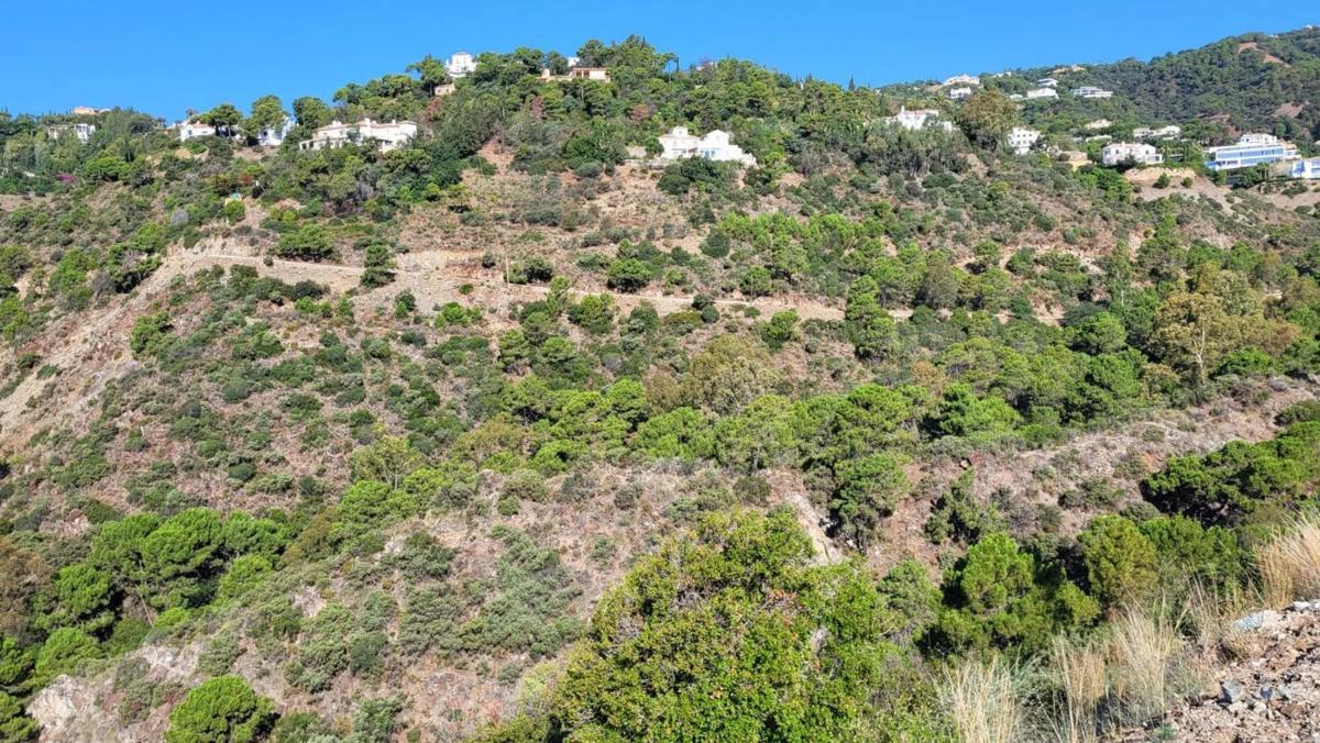 Terreno en venta en Benahavís, Malaga photo 3