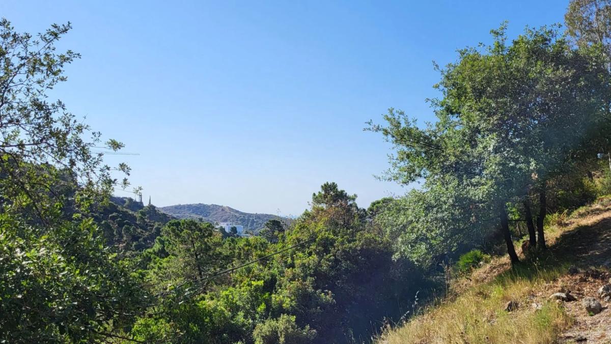 Terreno en venta en Benahavís, Malaga photo 4