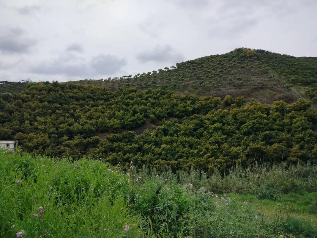 Участок земли на продажу в Велес-Малага, Малага photo 4