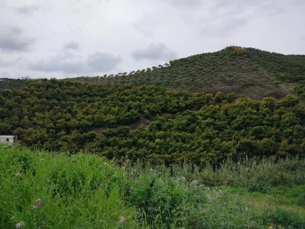 Terreno en trina s/n photo 4