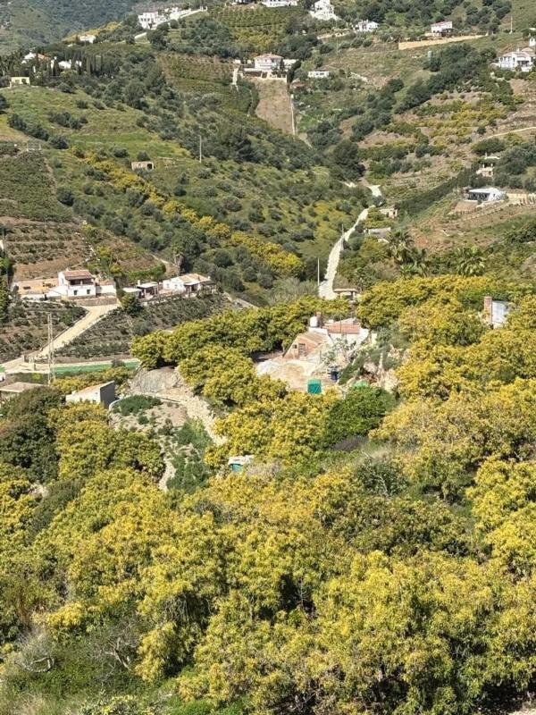 Terreno en venta en Frigiliana, Malaga photo 1