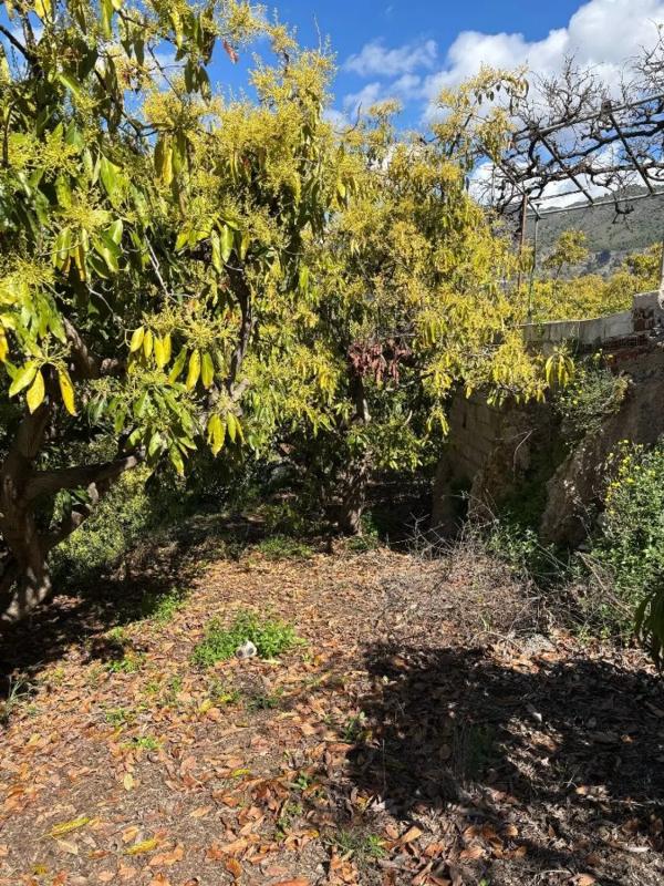 Terreno en venta en Frigiliana, Malaga photo 3