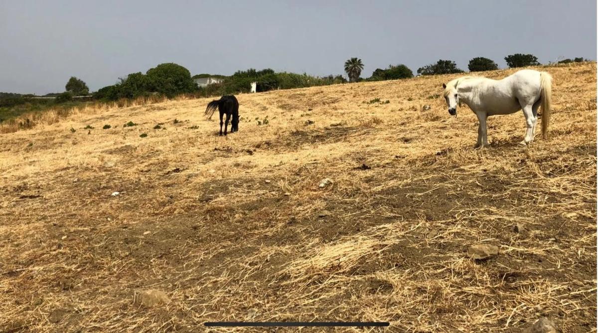 Terreno en venta en Manilva, Malaga photo 1