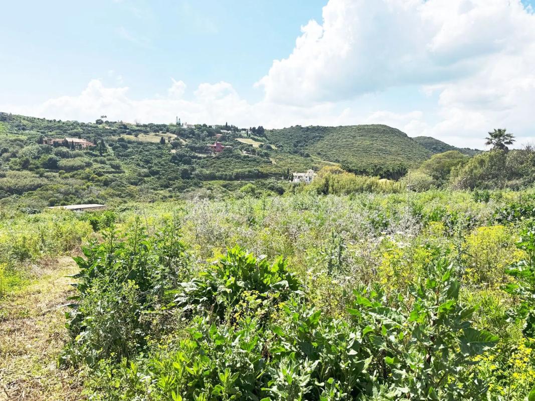 Terreno en venta en Manilva, Malaga photo 3