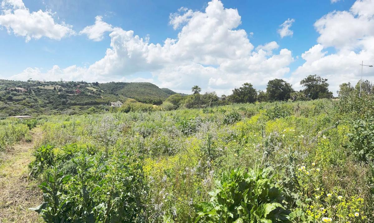 Terreno en venta en Manilva, Malaga photo 5