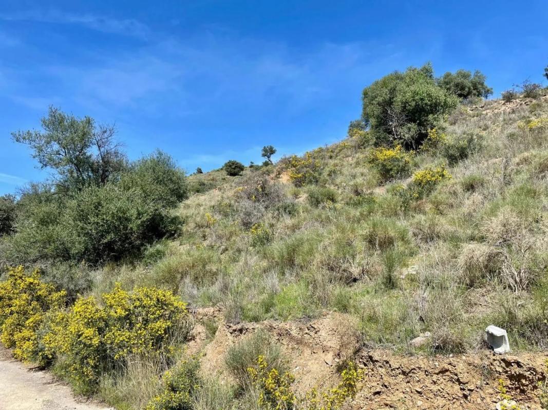Terreno en venta en Coin, Malaga photo 2