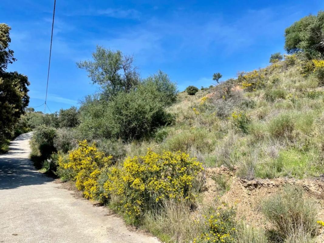 Terreno en venta en Coin, Malaga photo 3