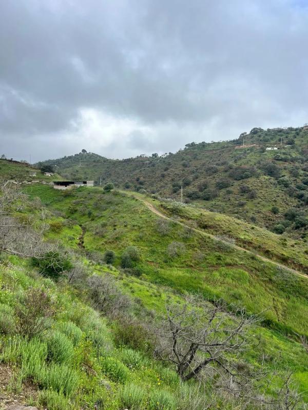 Terreno en venta en Casarabonela, Malaga photo 2